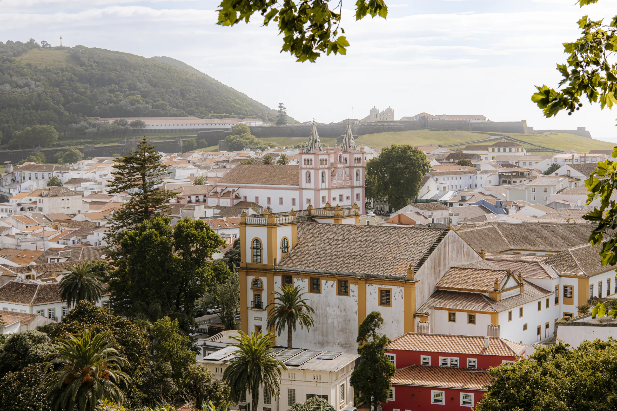 I tetti di Angra do Heroísmo visti dall'alto tra i rami, con le torri bianche di una chiesa in primo piano e la collina verde alle spalle della città.