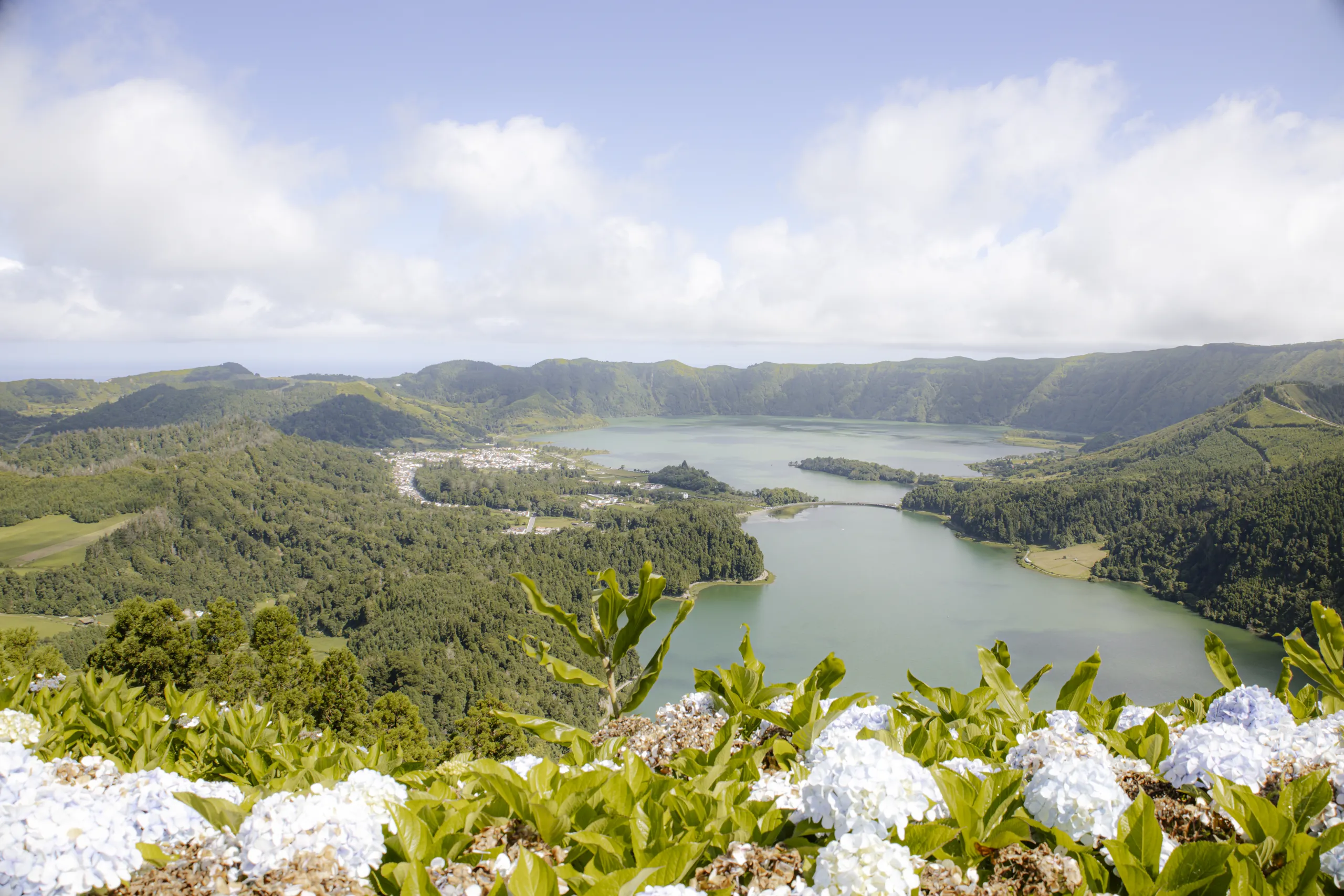 Il grande cratere di Sete Cidades con i suoi laghi e il paese sulla riva, visto dalla Vista do Rei dietro un cespuglio di ortensie bianche e azzurre.