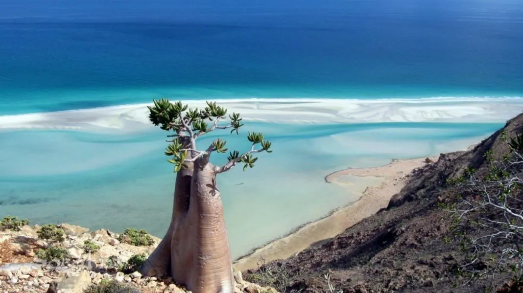 Socotra