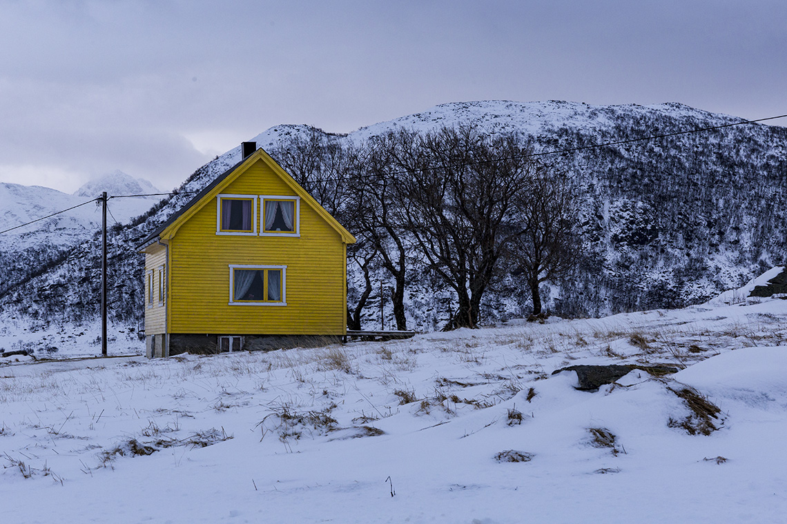 case legno - lofoten