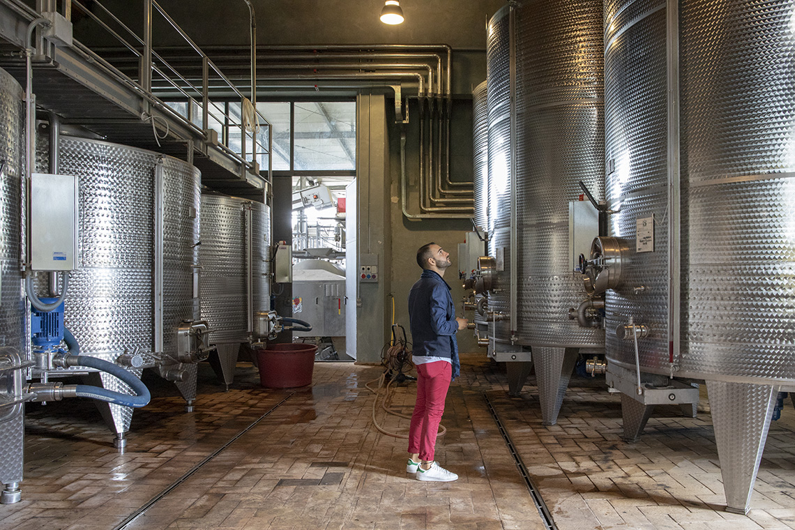 condividiamo il viaggio - vinificazione sagrantino