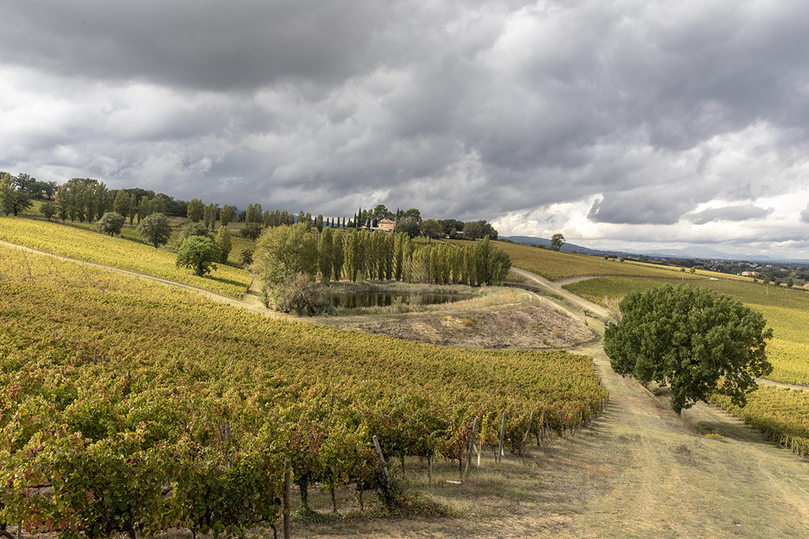 tenuta caprai