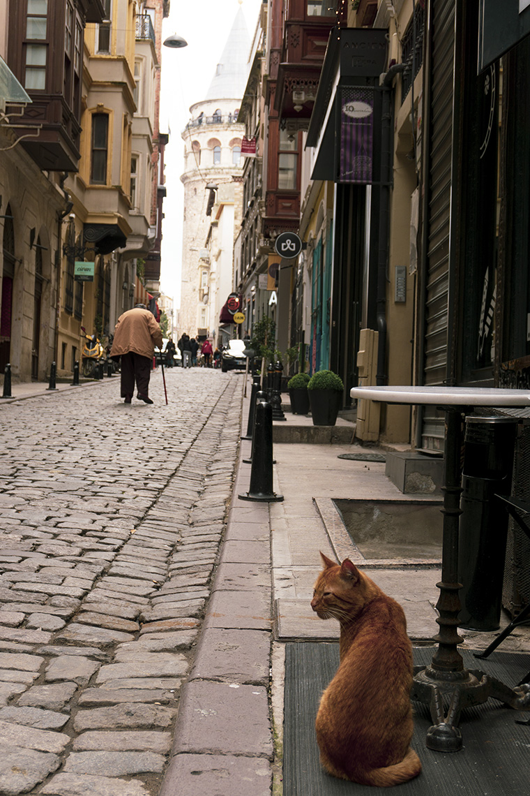 Istanbul Torre di Galata - Condividiamo il viaggio