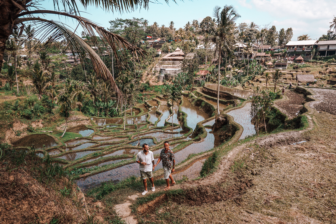 tegallalang rice terraces - Condividiamo il viaggio