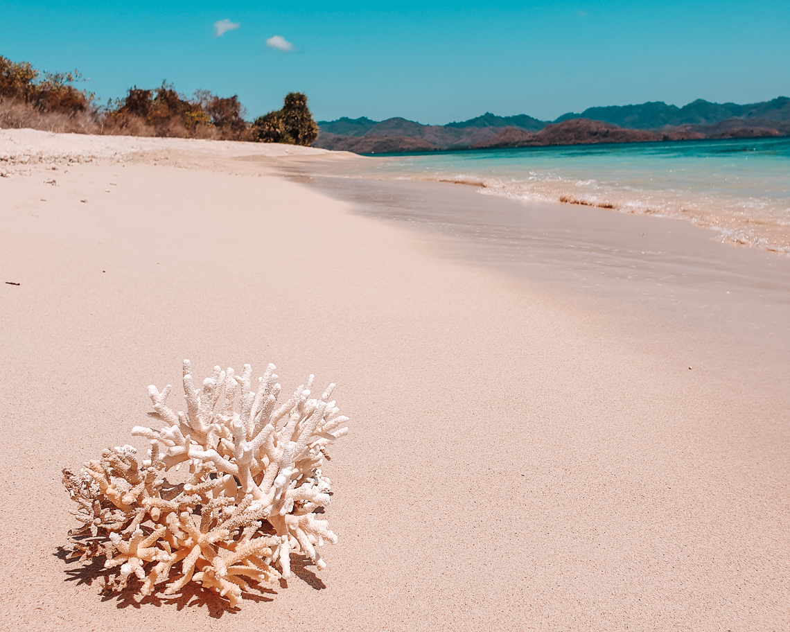 Corallo sulla spiaggia di Gili Gede - Condividiamo il viaggio