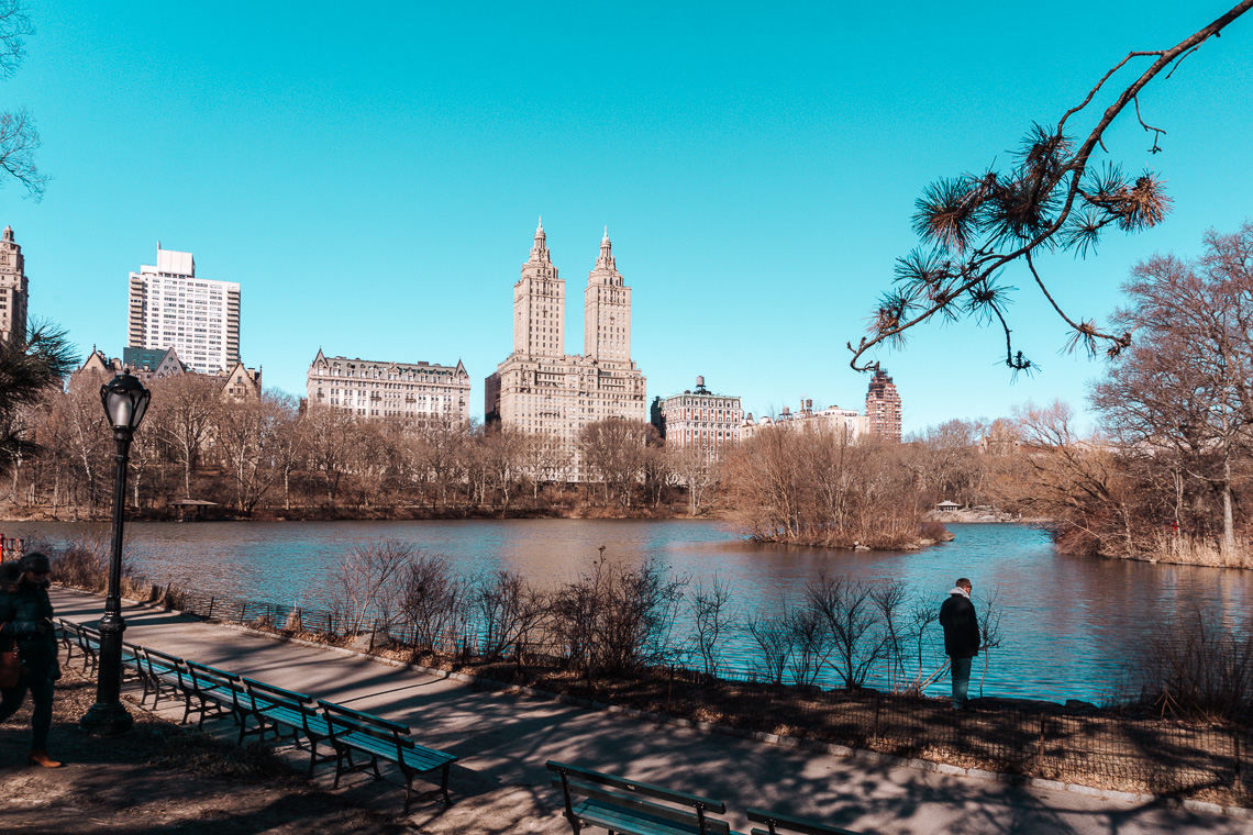 Central Park - Condividiamo il viaggio Central Park - Condividiamo il viaggio