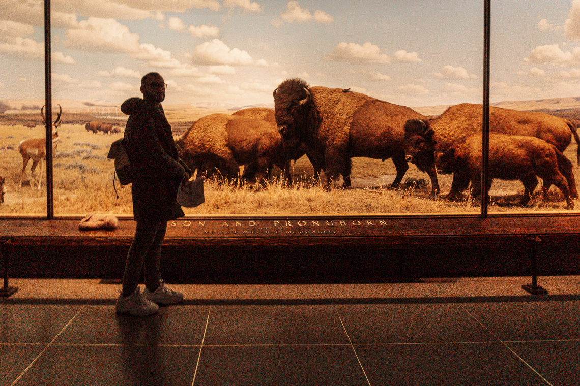 Museo di storia naturale - Condividiamo il viaggio Museo di storia naturale - Condividiamo il viaggio