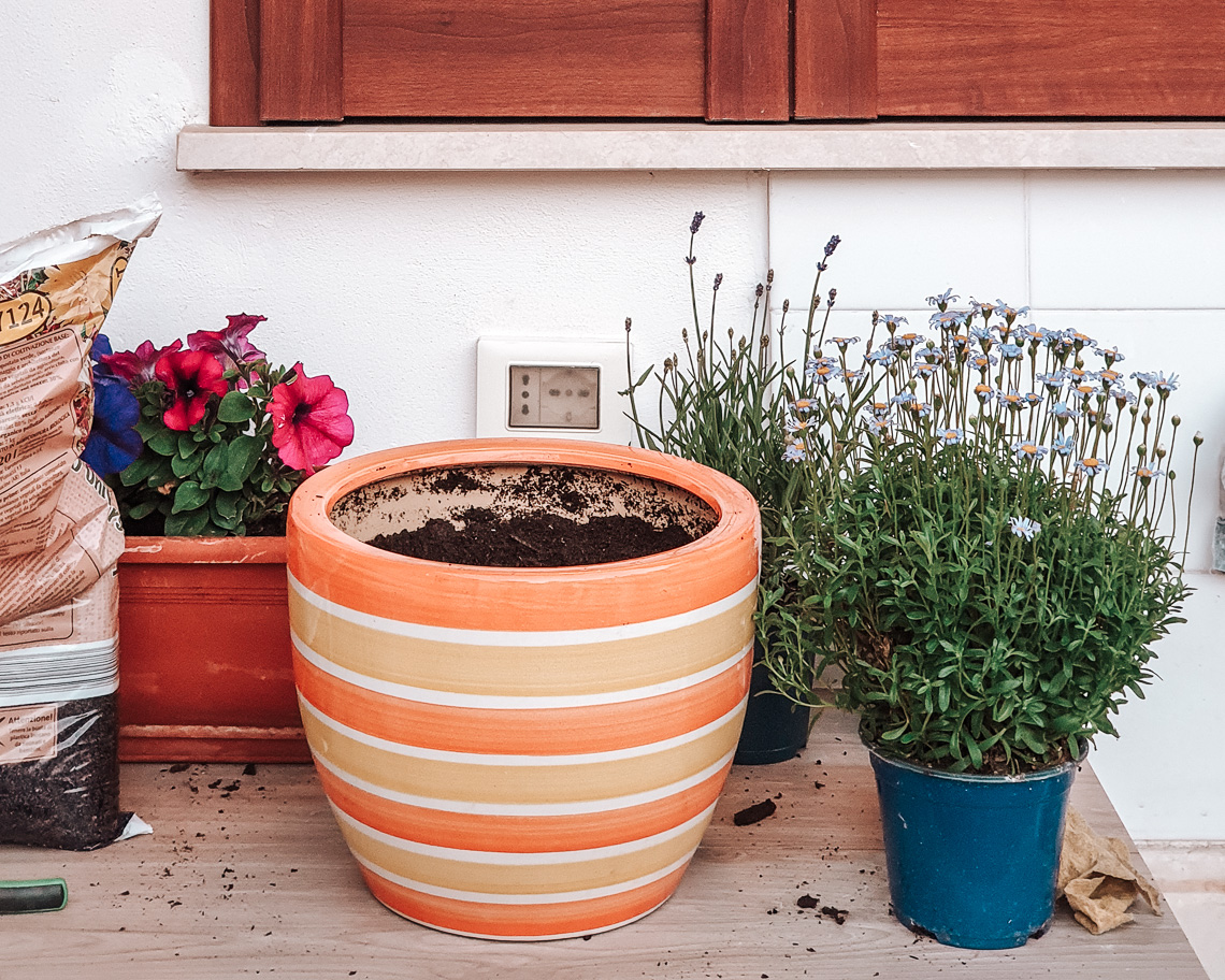 Fare giardinaggio è un'attività rilassante e dà molta soddisfazione - Condividiamo il viaggio Fare giardinaggio è un'attività rilassante e dà molta soddisfazione - Condividiamo il viaggio