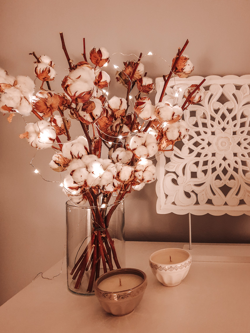 I fiori di cotone arredano con gusto e durano nel tempo - Condividiamo il viaggio I fiori di cotone arredano con gusto e durano nel tempo - Condividiamo il viaggio
