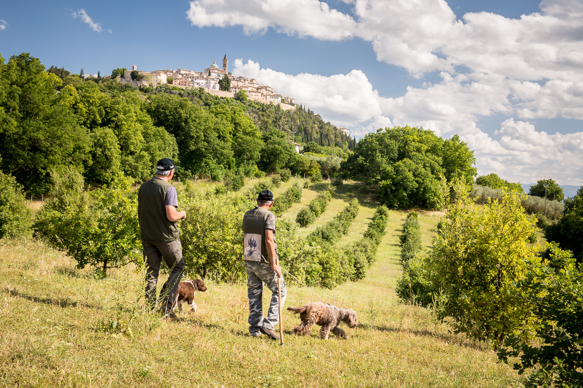 La Caccia al tartufo nella tenuta - Condividiamo il viaggio La Caccia al tartufo nella tenuta - Condividiamo il viaggio