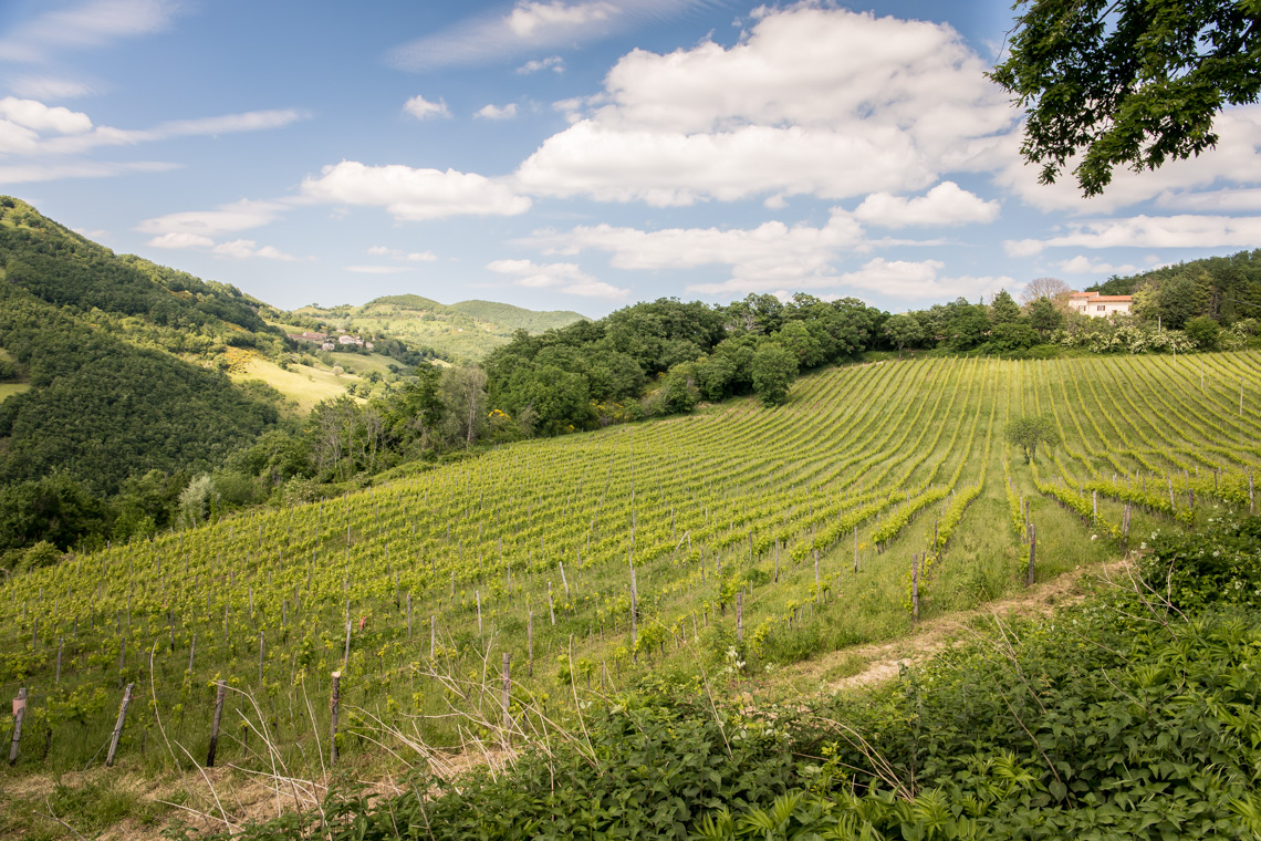 Tenuta Baroni Campanino - Condividiamo il viaggio