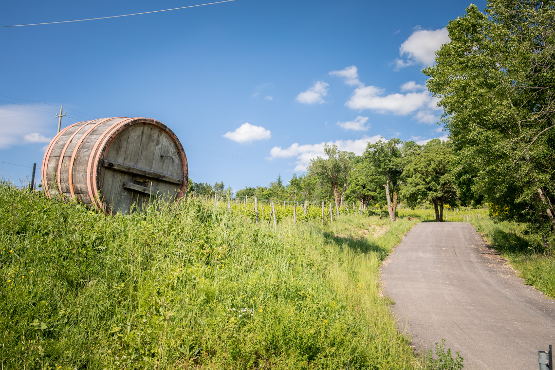Tenuta Baroni Campanino - Condividiamo il viaggio