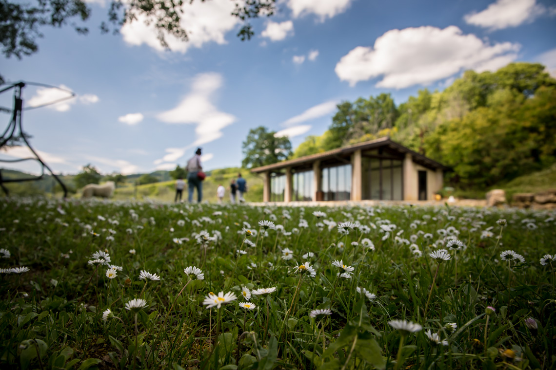 Tenuta Baroni Campanino - Condividiamo il viaggio